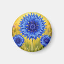Search for petal magnets Elegant