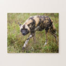 Search for one colour puzzles Dog