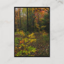 Search for forest chubby business cards Landscape