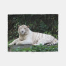 Search for black and white tiger blankets Tigers