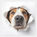Search for humourous gift wrap Dog