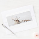 Search for wildlife photography stickers Animals