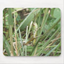 Search for grasshopper mousepads Green