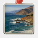 Search for big sur christmas tree decorations Usa