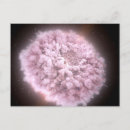 Search for astrophysics postcards Stars