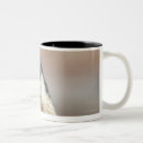 Search for antarctic mugs Bird