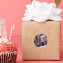 Search for galaxy cat stickers Moon