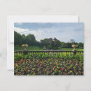 Search for flowerbeds postcards Flowers