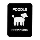Search for white poodle magnets Dog