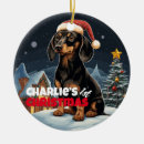 Search for sausage christmas tree decorations Wiener dog