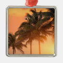 Search for north the christmas tree decorations Vacation