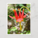 Search for be nice postcards Flower