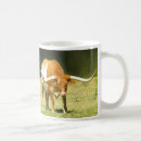 Search for longhorn coffee mugs Bulls