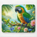 Search for macaw mousepads Animal