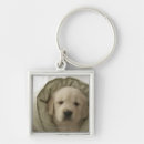 Search for innocent key rings Horizontal