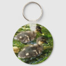 Search for ducklings key rings Baby