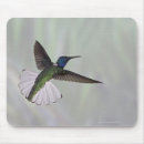 Search for one year electronics Birds around the world
