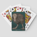 Search for kiwis photography Bird