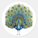 Search for peacocks stickers Decorative