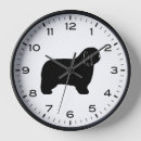 Search for polish clocks Dog