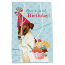 Search for smooth fox terrier Sft