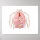 Search for aorta posters Heart