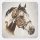 Search for mustang horse stickers Western