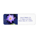 Search for lily return address labels Water lilies