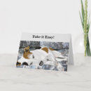 Search for jack russell birthday cards Jrt