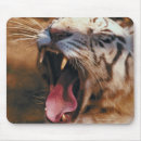 Search for wild one mousepads Wildlife