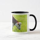 Search for grazing mugs Farm