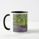 Search for redwood mugs Scenic