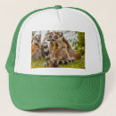 Search for lemur accessories Madagascar