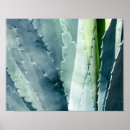 Search for alo posters Floral