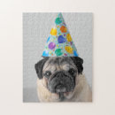 Search for pug puzzles Birthday