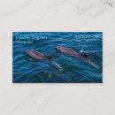 Search for dolphin business cards Ocean