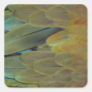 Search for surfacing stickers Nature