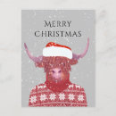 Search for highland cattle postcards Farm