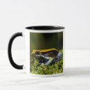 Search for vertebrate mugs Amphibian