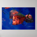 Search for neon fish art Aquarium