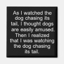 Search for chasing magnets Puppy