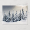 Search for cloud background postcards Beauty