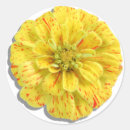 Search for candy stripe stickers Yellow