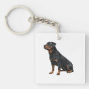 Search for rottweiler key rings Pet