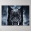 Search for german shepherd posters Animals