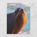 Search for bro postcards Funny