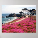 Search for calif Beach