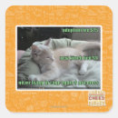 Search for never again stickers I can has cheezburger