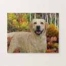Search for yellow lab puzzles Pets