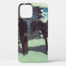 Search for saddle cases Cowboy